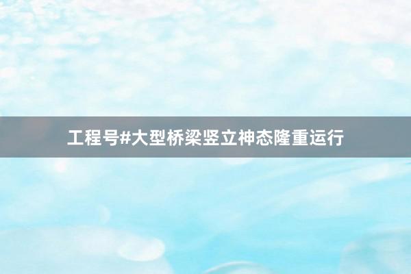 工程号#大型桥梁竖立神态隆重运行
