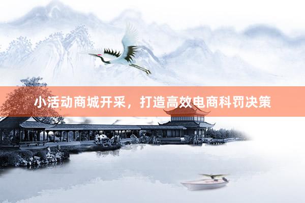 小活动商城开采，打造高效电商科罚决策