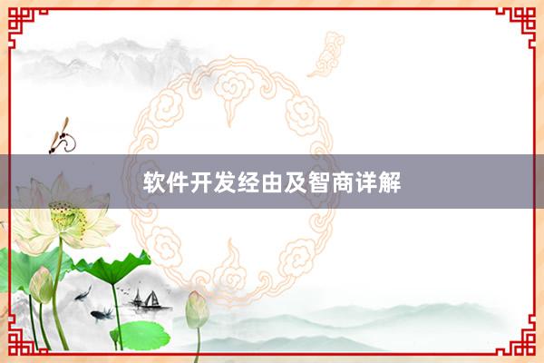 软件开发经由及智商详解